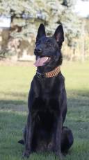 36DAAF62-6BDA-433A-94C1-9806F80EE6DB